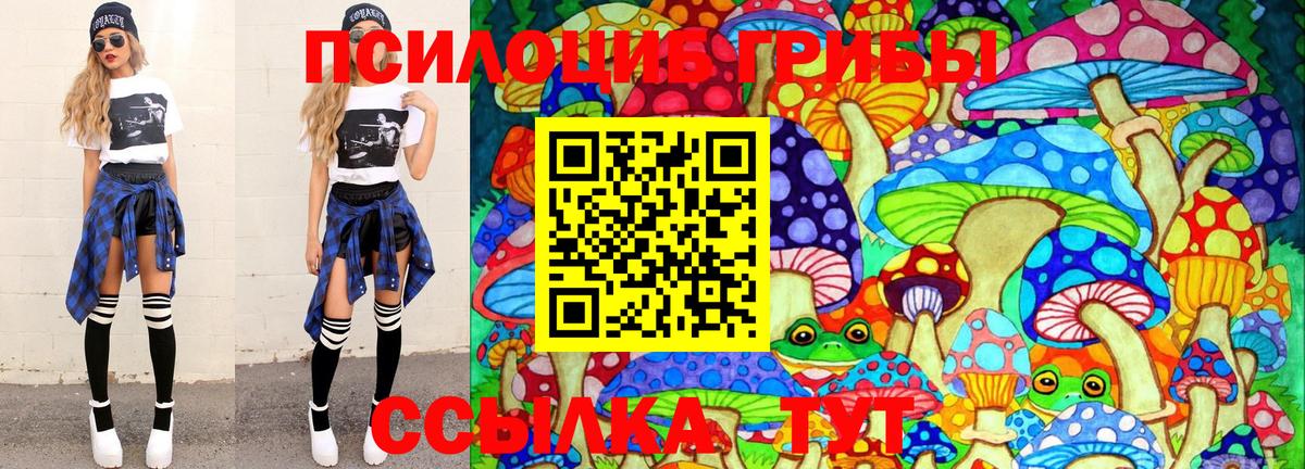 Горячий Ключ  Псилоцибиновые грибы GOLDEN TEACHER  Вход с VPN 